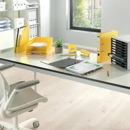Leitz Pack of 25 Standard Plastic Files Recycled Plastic YelLow
