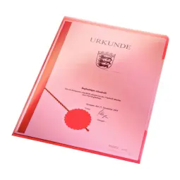 Leitz Premium Folder A4 Clear (Pack 100)