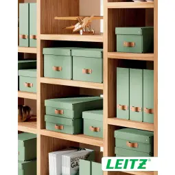 Leitz Puro Magazine File Pack of 2 Green