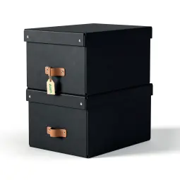 Leitz Puro Storage Box With Lid Medium 17L Black Pack of 2