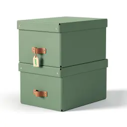 Leitz Puro Storage Box With Lid Medium 17L Green Pack of 2