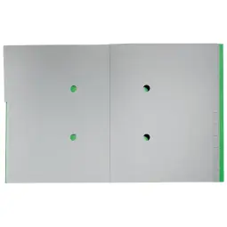 Leitz Recycle Card Divider Book Pack of 4 Green
