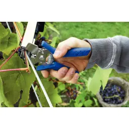 Rapid C75 Vine Hogringss Steel Pack of 6000