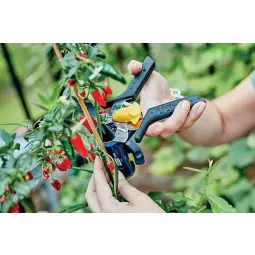 Rapid VR38 Garden Hogrings